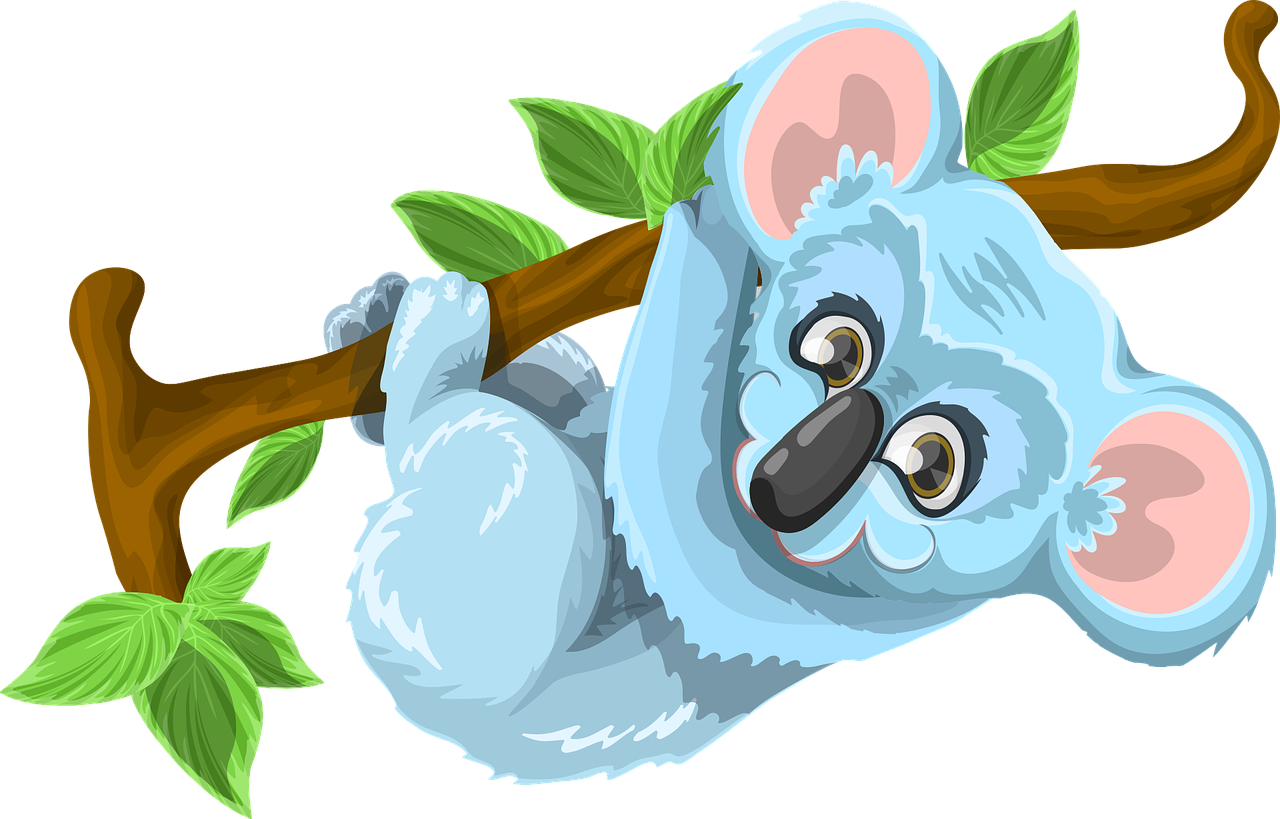 koala