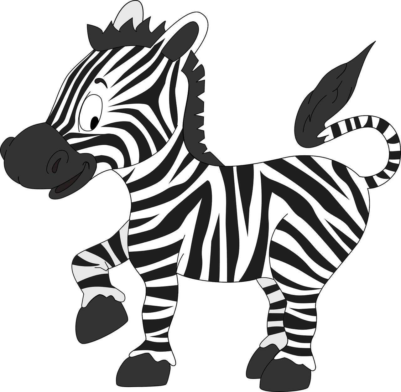 zebra